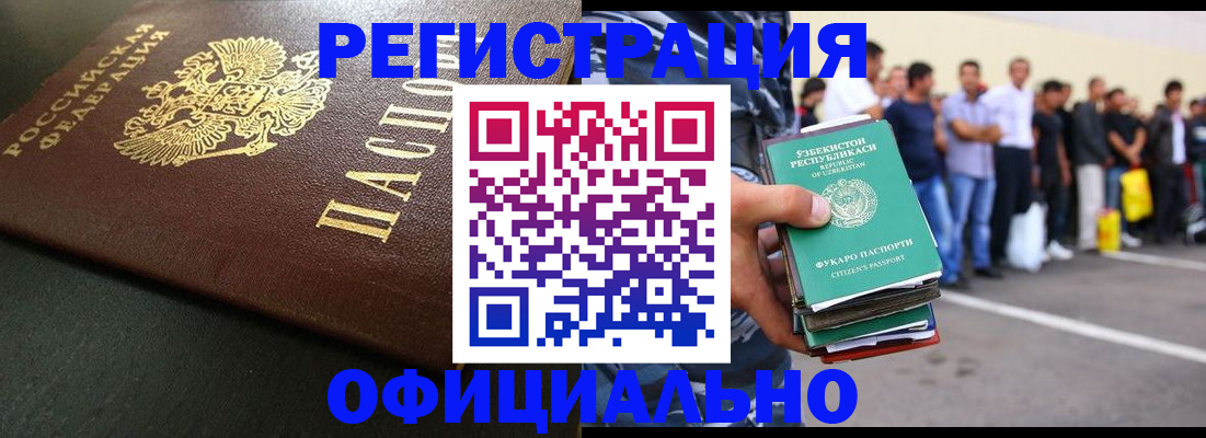 прописка поиск в Ногинске